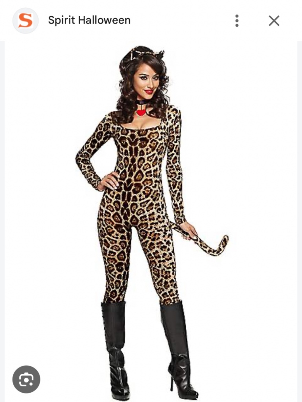 Sexy cougar costume
